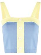 Staud Knitted Crop Top - Blue
