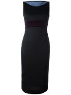 Antonio Berardi Fitted Evening Dress, Women's, Size: 40, Black, Modal