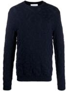 Christian Wijnants Karrot 3d Printed Jumper - Blue