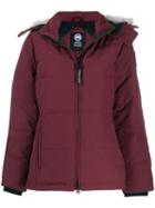 Canada Goose - Purple