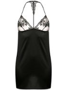 Fleur Of England - Black