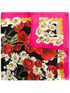 Dolce & Gabbana Daisy And Poppy Print Scarf, Women's, Pink/purple, Silk