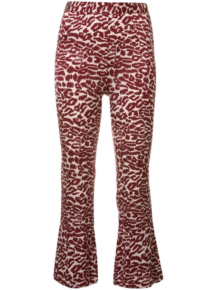 Piamita - Red