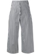 Federica Tosi - Striped Poplin Cropped Trousers - Women - Cotton - M, Women's, Black, Cotton