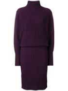 Victoria Victoria Beckham Ribbed Knit Turtleneck Dress - Pink & Purple