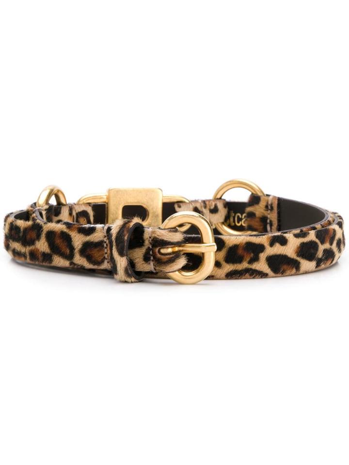 Just Cavalli Gold And Leopard Print Belt - Black
