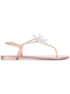 Giuseppe Zanotti Design Letizia Sandals - Pink & Purple