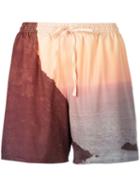 Esteban Cortazar Bathing Shorts - Brown