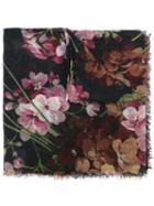 Gucci 'blooms' Scarf, Women's, Cashmere/wool