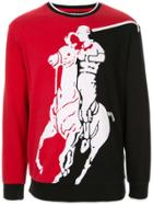 Ralph Lauren P-wing Big Pony Print Sweatshirt - Multicolour