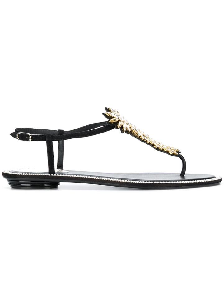 René Caovilla Feather Embellished Sandals - Black