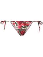 Dolce & Gabbana Rose (pink) Print Bikini Bottoms, Women's, Size: Iv, Polyamide/spandex/elastane