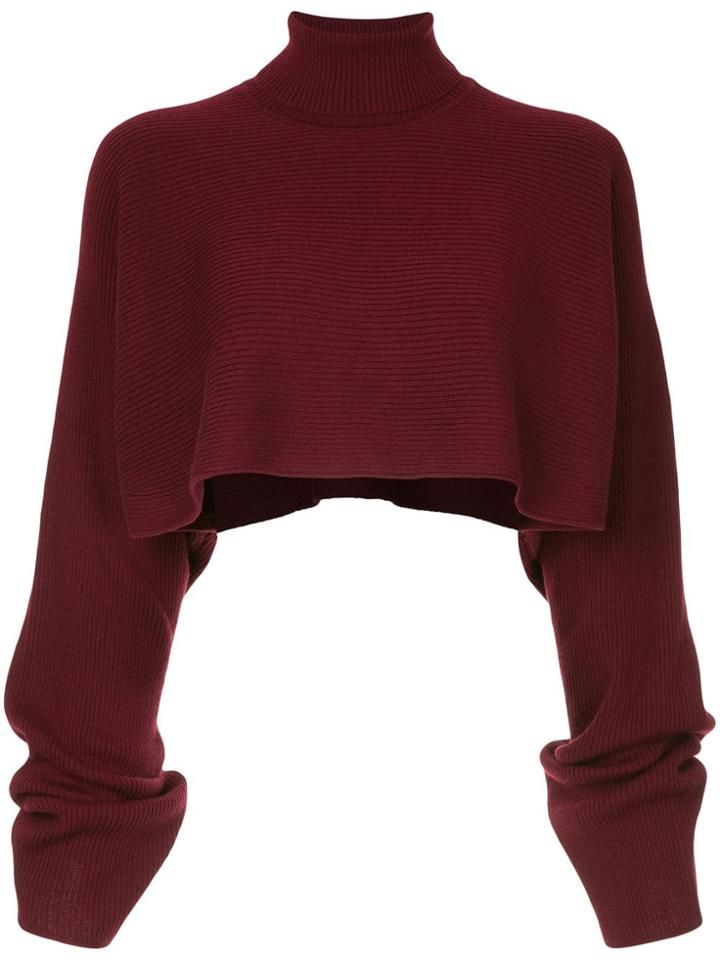 Le Ciel Bleu Ribbed Cropped Jumper - Red