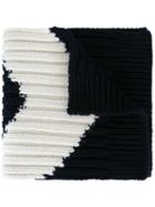 Moncler Gamme Bleu Contrast Stripe Scarf