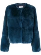 Yves Salomon Fitted Fur Jacket - Blue