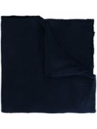 Faliero Sarti 'new Petra' Scarf, Adult Unisex, Blue, Silk/cashmere