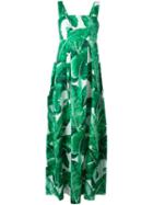 Dolce & Gabbana Banana Leaf Print Maxi Dress, Women's, Size: 42, Green, Cotton