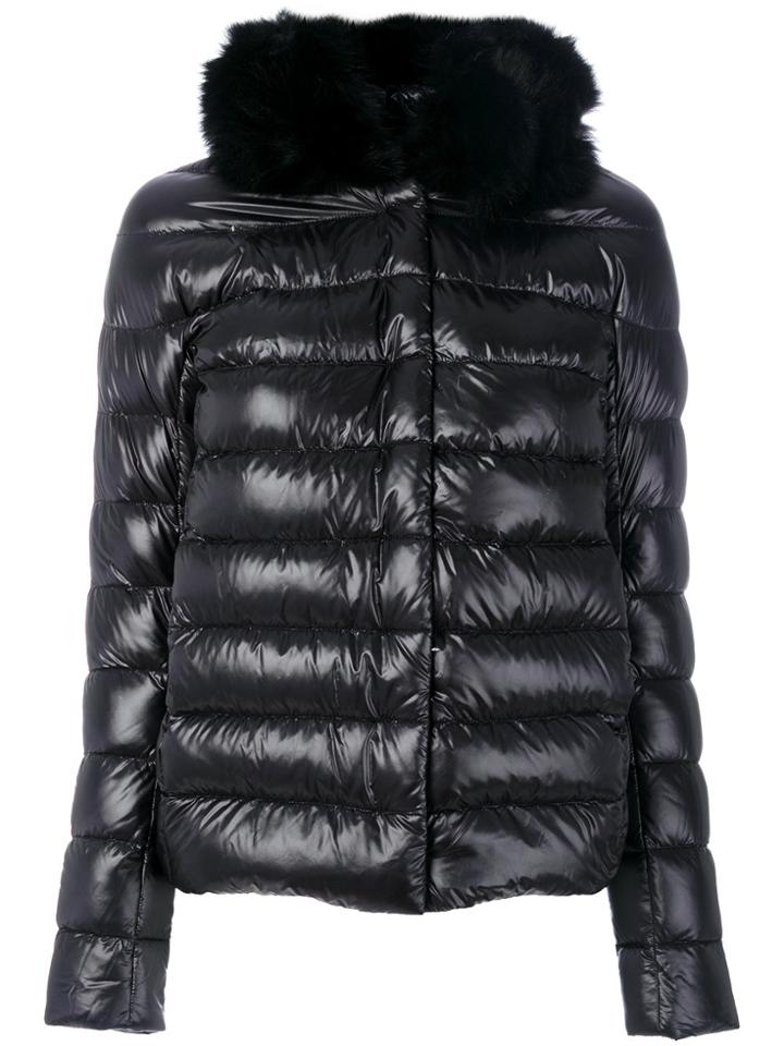 Herno Fox Fur Collar Jacket - Black