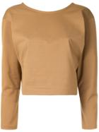 H Beauty & Youth V-back Top - Brown