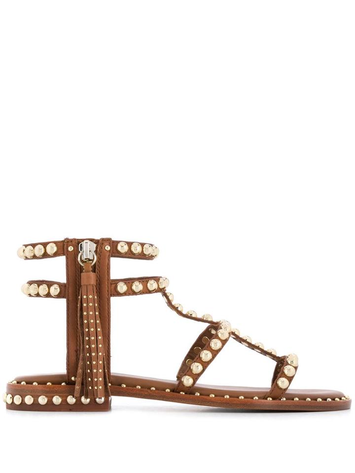 Ash Power Gladiator Sandals - Brown