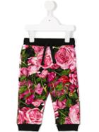 Dolce & Gabbana Kids Rose (pink) Print Trousers, Girl's, Size: 18-24 Mth
