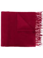 Begg & Co Fringed Edge Scarf - Red