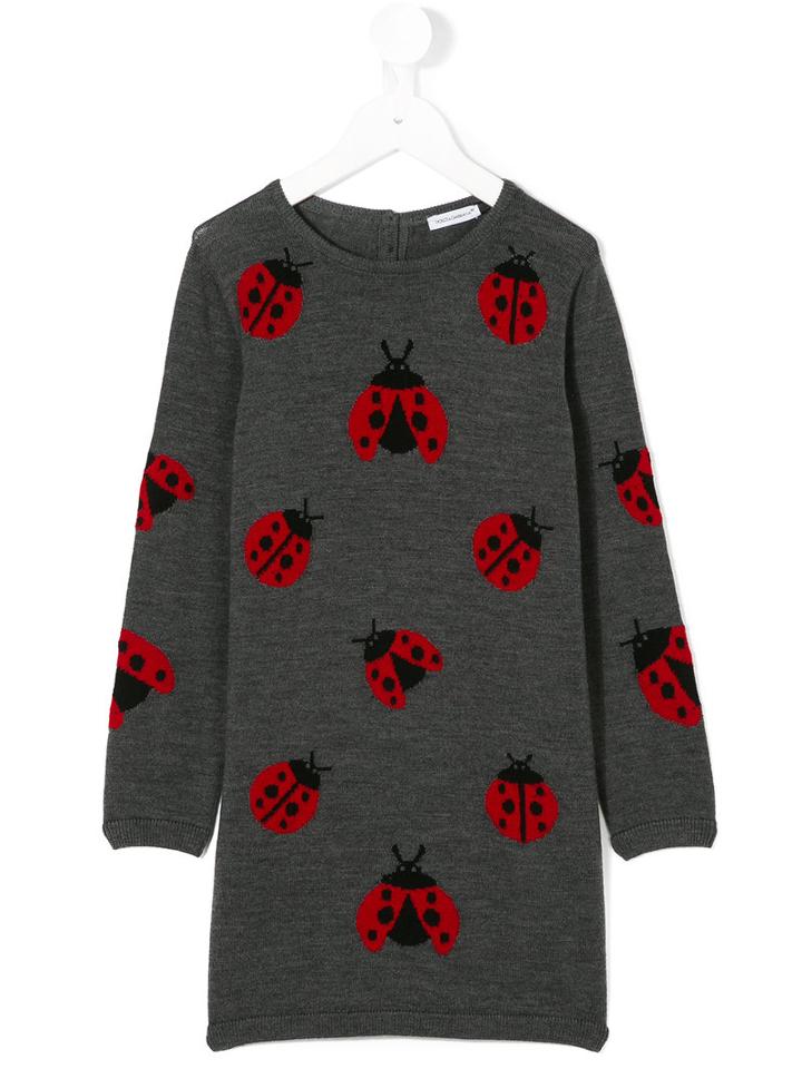 Dolce & Gabbana Kids - Ladybug Knitted Dress - Kids - Virgin Wool - 10 Yrs, Grey