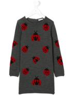 Dolce & Gabbana Kids - Ladybug Knitted Dress - Kids - Virgin Wool - 10 Yrs, Grey