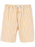 Egrey Striped Swimming Shorts - Orange