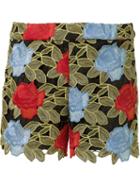 Alice+olivia Rose Embroidered Shorts
