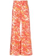 Alexis Genette Pants - Orange