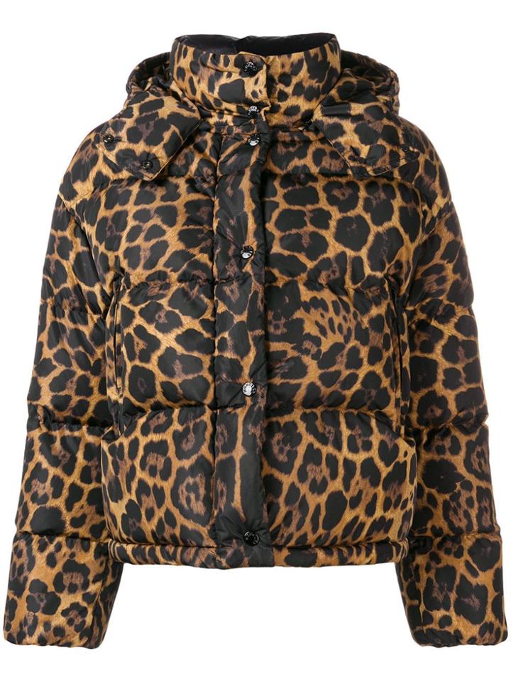 Moncler Animalier Print Padded Jacket - Brown