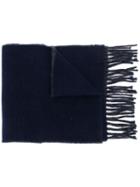 Polo Ralph Lauren Logo Embroidered Fringed Scarf - Blue