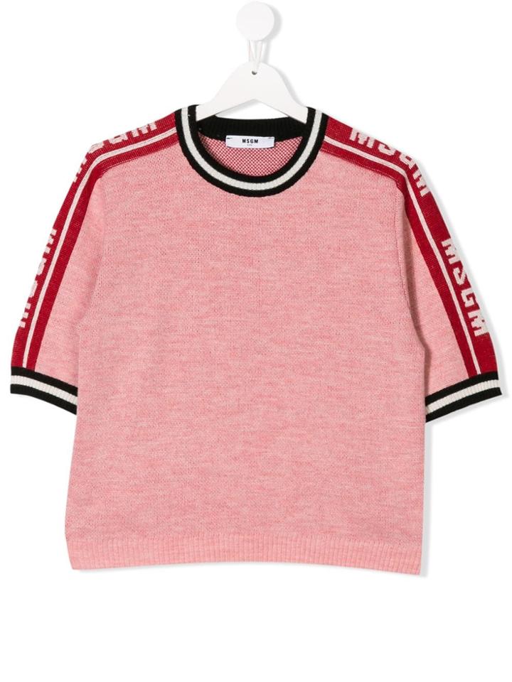 Msgm Kids Teen Logo Sleeve Knitted Top - Pink & Purple