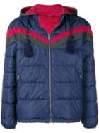 Gucci Chevron Stripe Padded Jacket - Blue