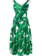 Dolce & Gabbana Banana Leaf Print Flared Dress