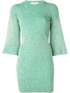 Stella Mccartney Fitted Mini Dress