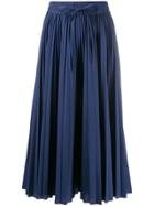 Red Valentino Pleated Mid-length Skirt - Blue