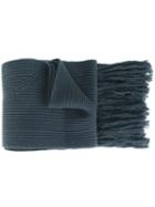 Lanvin Ribbed Tassel Scarf