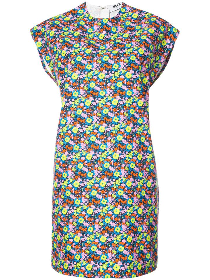 Msgm Micro Floral Shift Dress - Multicolour