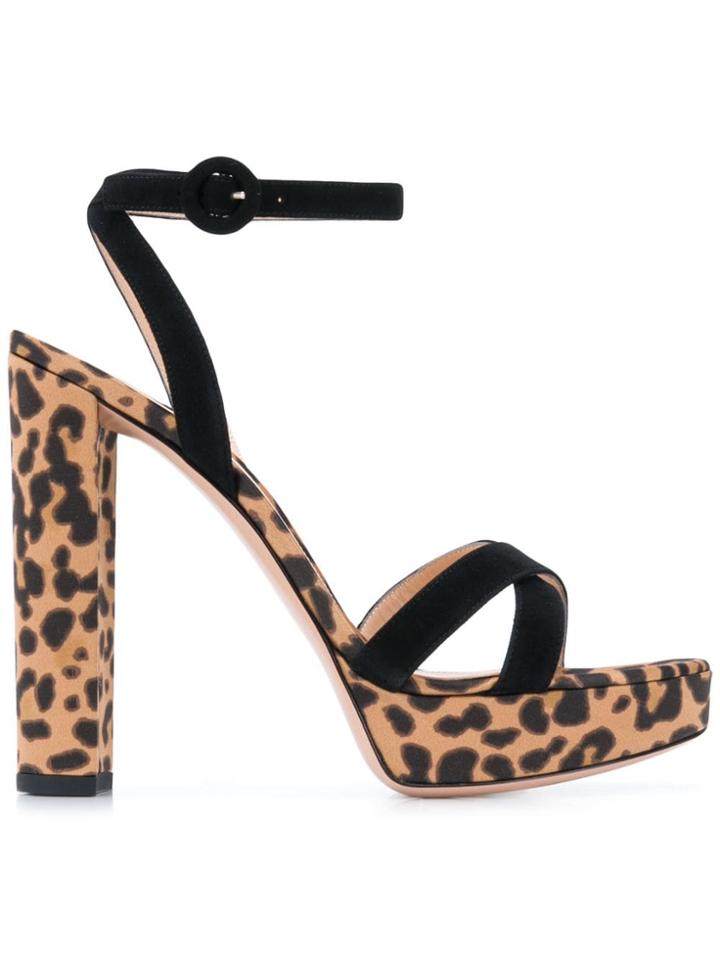 Gianvito Rossi Poppy Leopard Print Sandals - Black