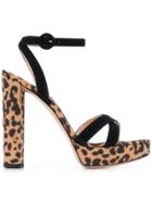 Gianvito Rossi Poppy Leopard Print Sandals - Black
