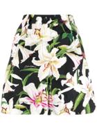 Dolce & Gabbana Poplin Floral Pattern Shorts - Black
