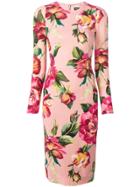 Dolce & Gabbana Rose Print Dress - Pink & Purple