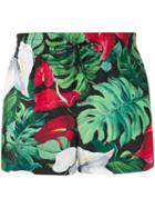 Dolce & Gabbana Foliage Print Swim Shorts - Green
