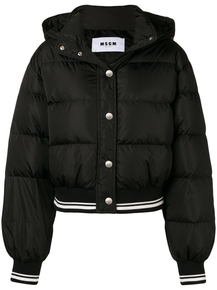 Msgm Cropped Padded Jacket - Black