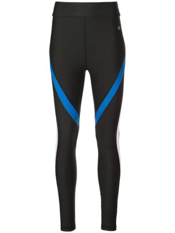 Thrive Societe Stretch Fit Leggings - Black