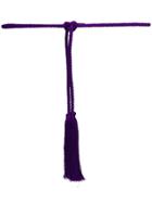 Alberta Ferretti Braided Woven Belt - Purple