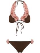 La Reveche Embellished Bikini - Brown