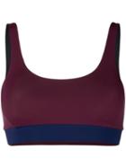 Angelys Balek Tank Bra Top - Pink